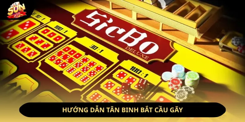 Hướng dẫn tân binh bắt cầu gãy