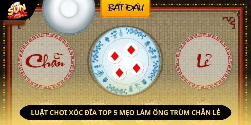 Luật Chơi Xóc Đĩa - Top 5 Mẹo Làm Ông Trùm Chẵn Lẻ